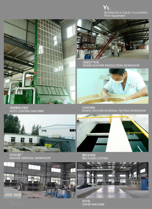 天門服裝產業新機遇 大型現代化服裝廠招賢納士，優質車間倉庫同步租售